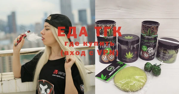 гашик Тихвин