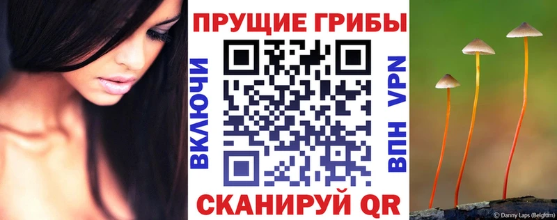 Купить закладки  Топки  Псилоцибиновые грибы Magic Shrooms 