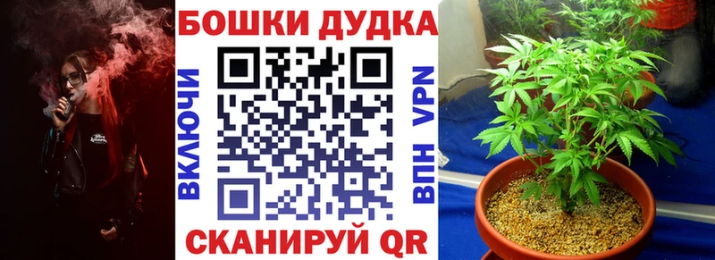 МАРИХУАНА ГИДРОПОН Топки